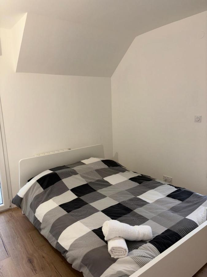 Апартаменти Duplex Neuf Parking Terrasse Мюлуз Екстер'єр фото